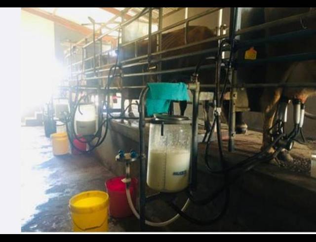 FARM FOR SALE IN ONDERSTEPOORT